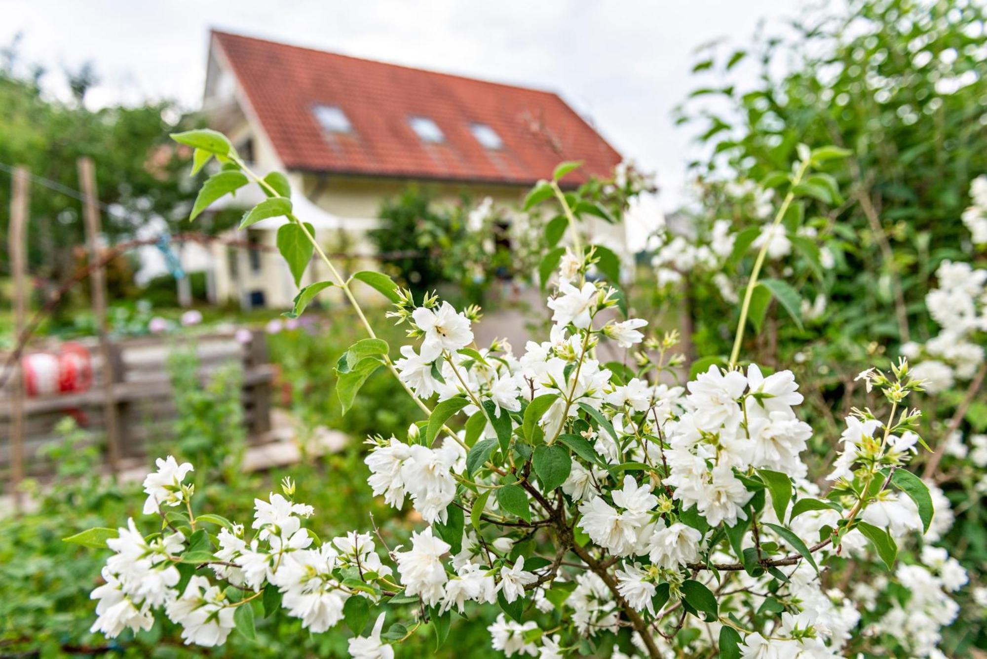 Beutenmuehle Straussenfarm Dach Owingen Dış mekan fotoğraf
