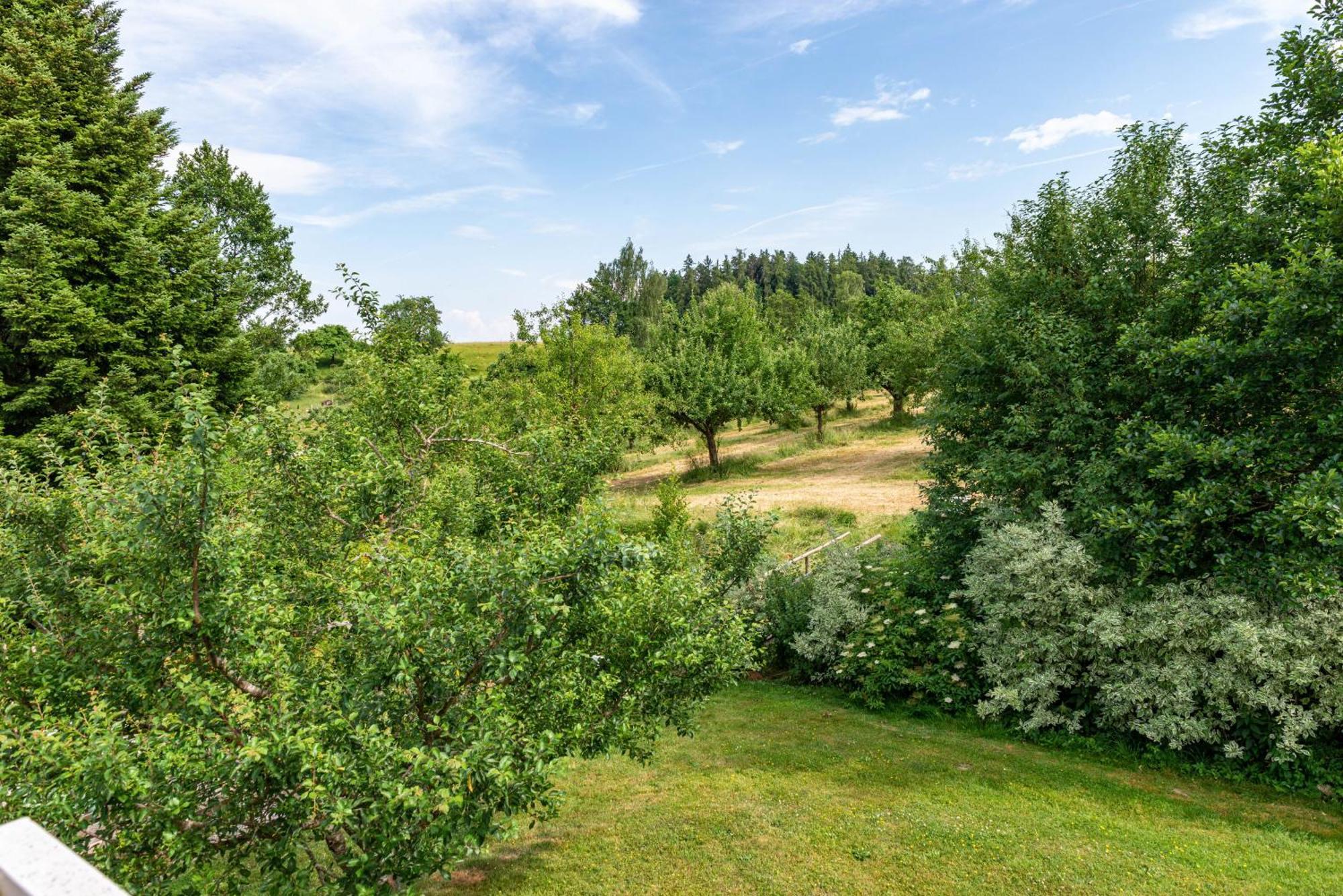Beutenmuehle Straussenfarm Dach Owingen Dış mekan fotoğraf